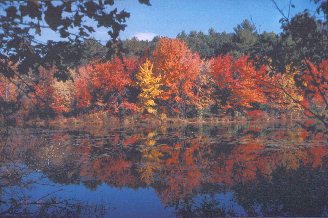 A photograph of Boxford in Autumn