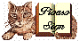Picture of Cat