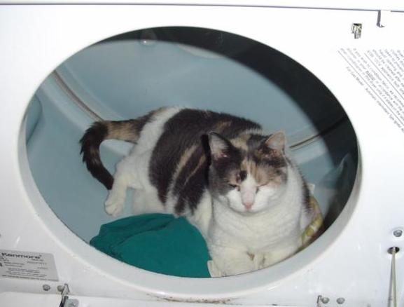 Booboo keeping warm!