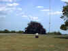 fd5.JPG (34573 bytes)