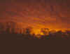 sunrise2.JPG (17289 bytes)