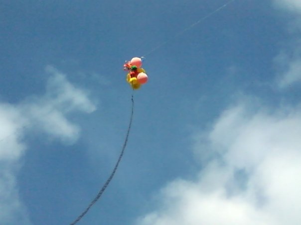 Baloons released from some function now in my ANTENNA! thanks alot!