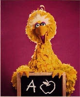 bigbird