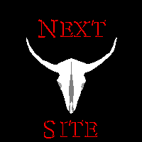 Next Brooks & Dunn Webring Site