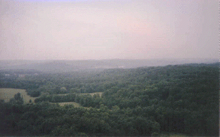 The Hoosier National Forest!
