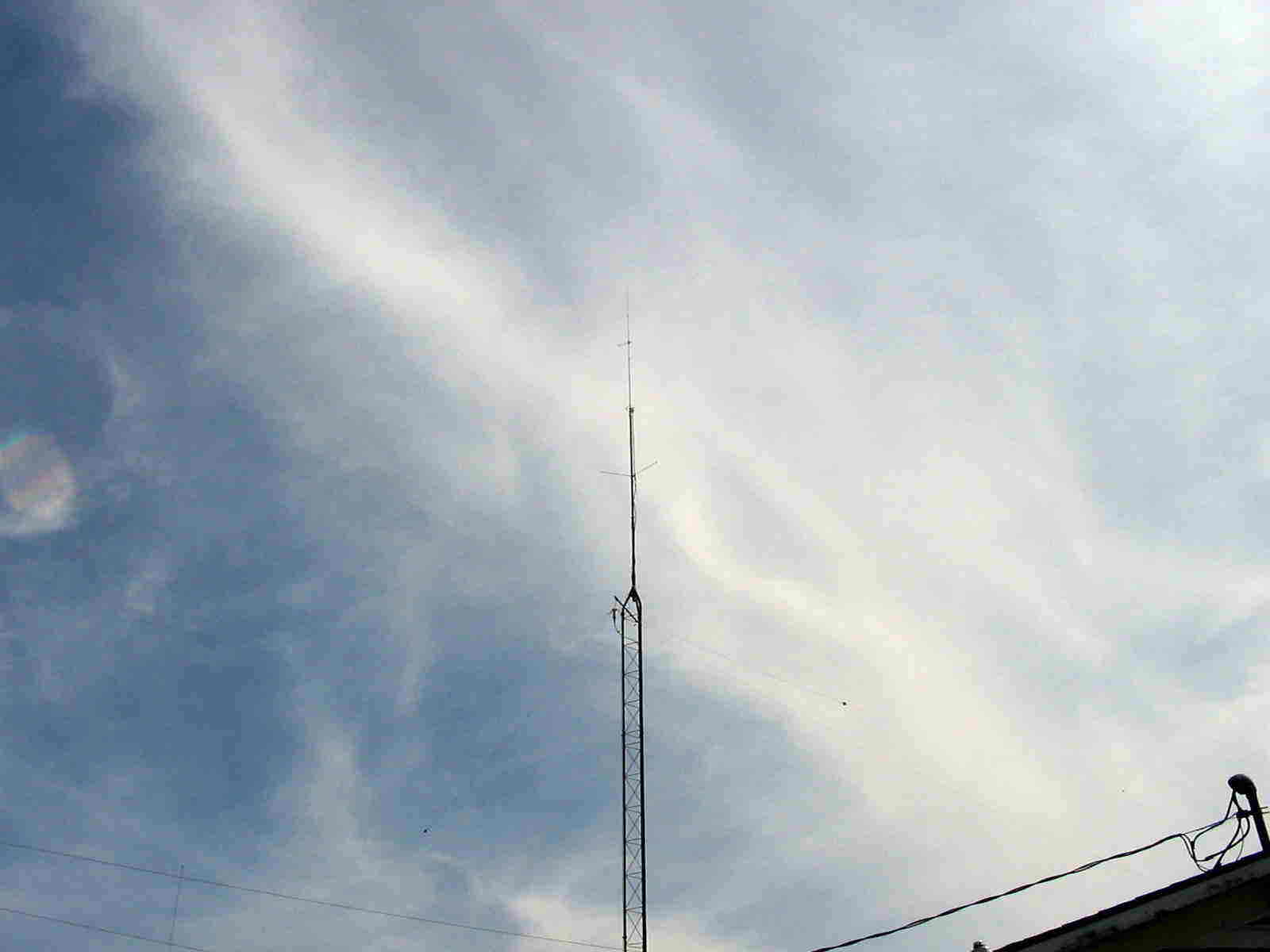 ant1 (21K)