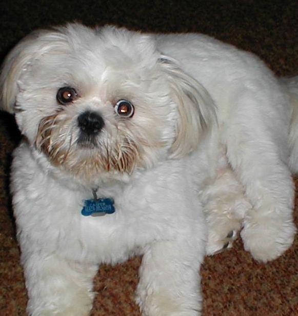 P5070019.jpg (196412 bytes)