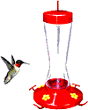 humming bird feeder