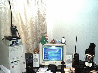 Image1.jpg (22050 bytes)