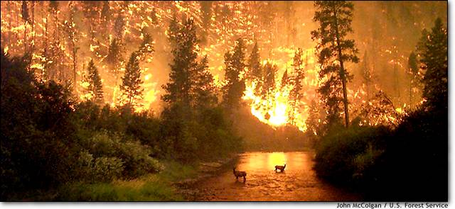 August 6, 2000: Western Wild Fires in Sula, MT