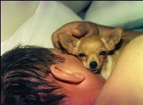 Being guarded by Baby