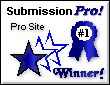 The Pro Site Award