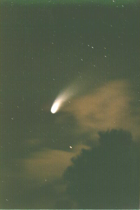 Hale-Bopp Comet with Tree