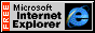 MS Internet Explorer logo