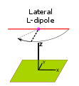 Lateral L