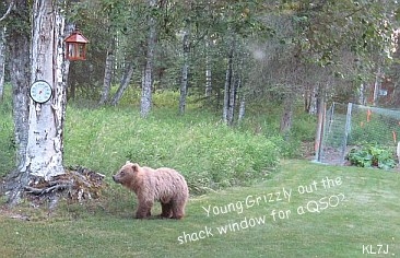 Young Griz visitor