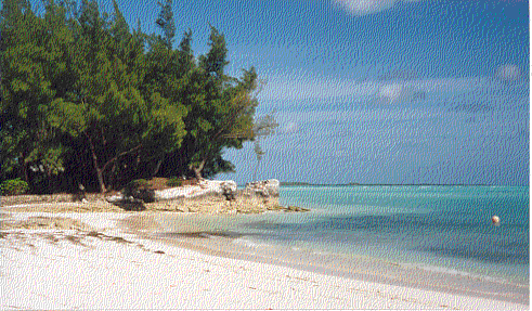 Beach in Abaco