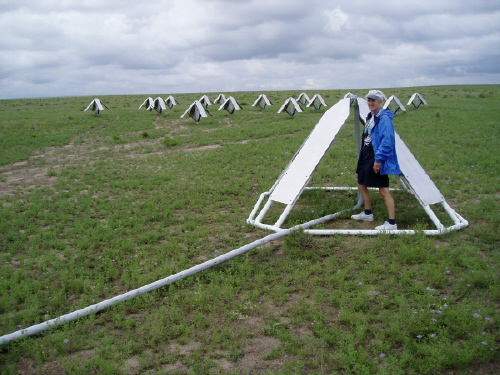 LWA
        Radio Telescope Array: 16 dipoles with digital receivers.