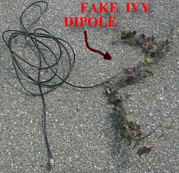 Fake Ivy Dipole for Hidden Transmitter