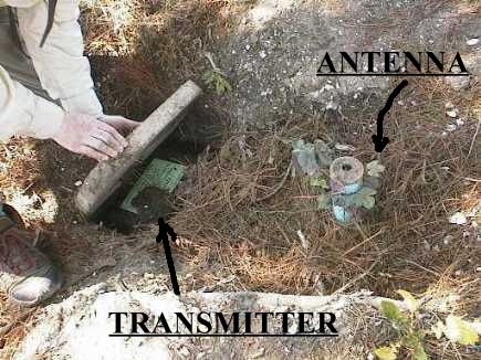Underground Transmitter with Separate Fake Ivy Antenna