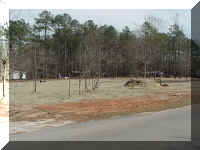 MVC-009S.JPG (56089 bytes)