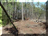 clearing1.jpg (89061 bytes)