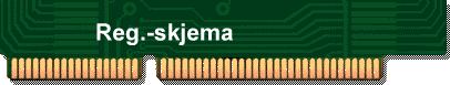 Reg.-skjema