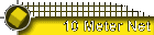 10 Meter Net