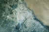 BSASCITY.JPG (469090 bytes)