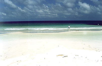 Luego de 25 minutos de caminata llegamos a esta playa
