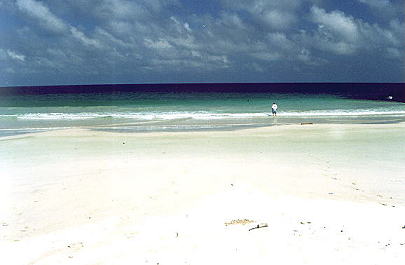 Luego de 25 minutos de caminata llegamos a esta playa