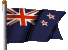 nz flag