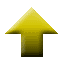Top Icon
