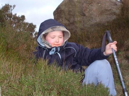 Liam relaxing in the heather