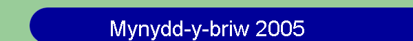 Mynydd-y-briw 2005
