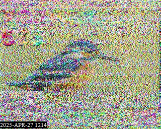 M6JNA image#26