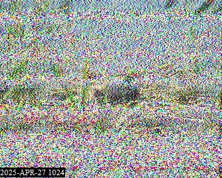 M6JNA image#26
