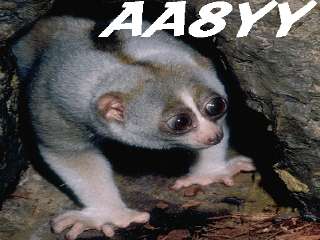 aa8yy002.jpg (13852 bytes)