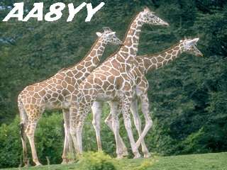 aa8yy003.jpg (16923 bytes)