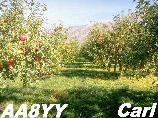 aa8yy006.jpg (22205 bytes)