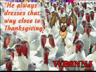 wb8nnj03.jpg (11844 bytes)