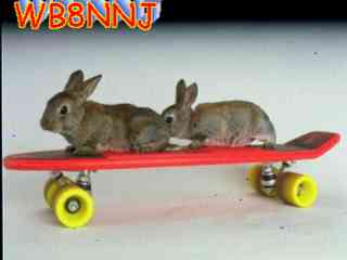 Wb8nnj01.jpg (6042 bytes)