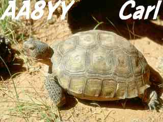 Aa8yy003.jpg (10727 bytes)