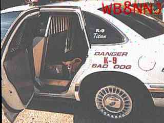 Wb8nnj01.jpg (9348 bytes)