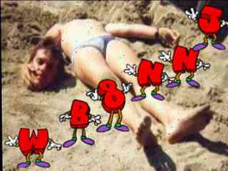 Wb8nnj03.jpg (10622 bytes)