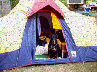 Kc8wr002.jpg (17351 bytes)