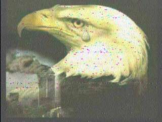 Kc8wr005.jpg (11985 bytes)