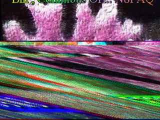 N8paq001.jpg (12924 bytes)