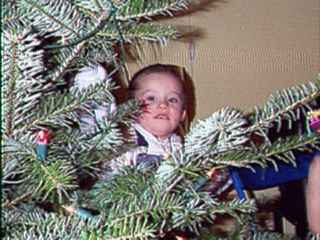 W0mne003.jpg (14347 bytes)