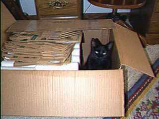 W0mne004.jpg (9141 bytes)